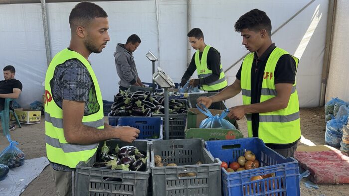 IMG 2137 Témoignage d'Abu Amir, le 22 mai 2025 (1) – Gaza : une famine moderne, délibérée sous le regard du monde